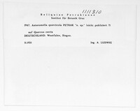 Image Associated With the Occurence